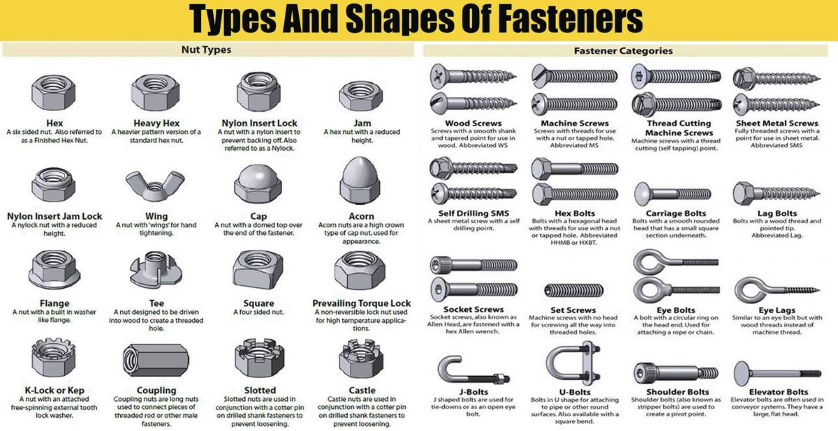 Types screw nuts fasteners head washers shapes engineering bolts bolt screws different threads discoveries wood flange below many lag